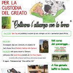 Cremona-Giornata-Creato-2018-724x1024.jpg