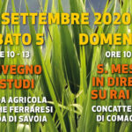 Locandina-Giornata-Creato-2020-Ferrara-Comacchio-2-1024x549.jpg